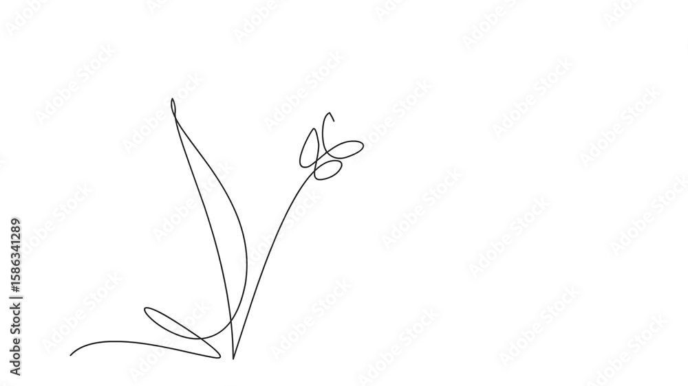 Poster animated self drawing of continuous line draw of wheat. barley or rye. full length one line animatio