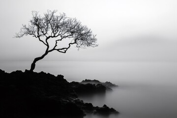 Obraz premium Minimalist black and white landscape featuring a leafless tree growing on rocks by the foggy sea, creating a serene and melancholic atmosphere