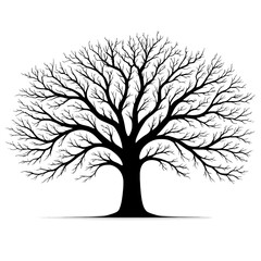 Obraz premium Bare Tree Silhouette on White Background, Nature Art