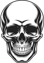 Fototapeta premium Skull, human skull illustration, anatomical art, vintage engraving, gothic design, decorative motif, macabre artwork, detailed etching