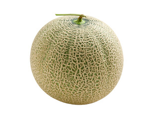 Cantaloupe Melon: A Detailed Look at this Sweet Summer Fruit PNG, Transparent Background.