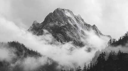   A monochrome image of a mountain shrouded in mist and cloud, surrounded by coniferous trees