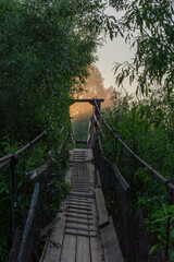 Wooden suspension bridge surrounded by lush greenery leads to a misty horizon, creating a serene...