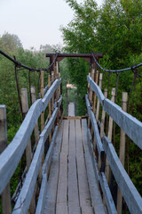 Wooden suspension bridge surrounded by lush greenery, leading into a serene natural landscape,...