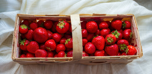 Rustic wooden basket overflowing with juicy ripe strawberries on a soft fabric background. Natural...