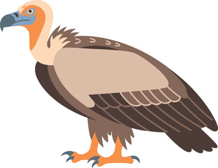Stylized Vulture Vector Illustration – Minimalist Detailed Bird Anatomy Design