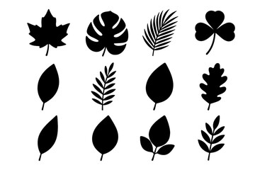 Black leaf silhouette vector collection. Set of isolated plant icons. Features various leaves like maple, monstera, palm, oak, clover. Botanical nature illustration.