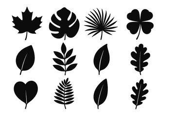 Fototapeta premium Black leaf silhouette vector collection. Set of isolated plant icons. Includes maple, monstera, palm, clover, and oak leaf shapes. Botanical nature design elements.