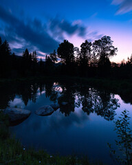 reflection of trees in water