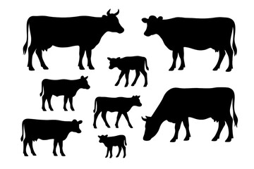 Cow silhouette vector collection. Set of cattle, calf, and bull icons. Farm animal graphics for agriculture, dairy, and beef industry design. Isolated livestock illustration.