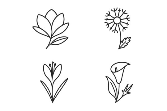 Flower line icon set. Vector pictograms of magnolia, dandelion, crocus, calla lily. Minimalist floral outline symbols for logo design. Botanical nature illustration pack.
