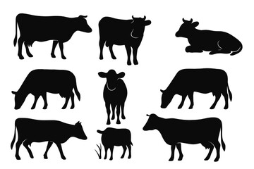 Cow silhouettes set. Farm animals collection. Cattle icons for agriculture, dairy products, and farm-themed designs. Livestock vector illustration. Beef and milk symbols.