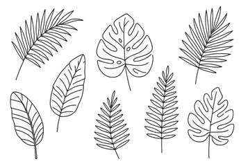 Tropical Leaves Line Art Vector Collection, Hand Drawn Palm, Monstera, Fern, Jungle Foliage, Botanical Outline Set, Isolated Black and White Nature Elements for Design, Decorative Plant Illustration