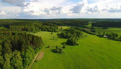 Obraz premium Aerial view of green fields and forests