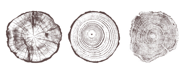 Set of three detailed tree ring patterns 