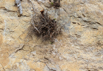 the structure of the rock surface in the section, quarrying in the natural environment, sunny day