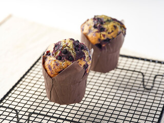 Fresh Baked Blueberry Muffins on Cooling Rack side view of Sweet Pastries