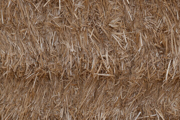 Close-up image of dry straw with fibrous golden-colored textures and overlapping stalks.