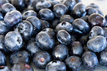 a lot of blueberries, close up