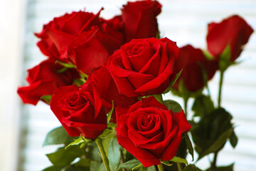 Roses blooming in a park on a bright summer day. Vibrant flowers under natural sunlight surrounded...