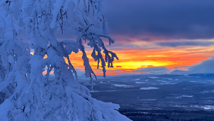 Snow-laden branches frame a glowing sunset over a vast winter mountain landscape. A dramatic and colorful contrast of warmth and cold.