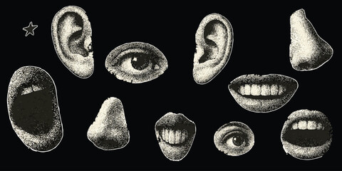 Trendy Halftone Anatomy and expression Collage cutout Set, Eyes, Mouths, Noses & Ears in Grungy Retro Cutout Style, for Punk Zines, Bold Posters and Edgy Mixed Media Design
