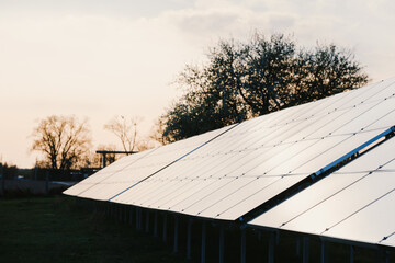 Solar Panel Array at Dusk with Trees in the Background Generating Clean Energy