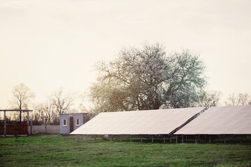 Renewable energy farm featuring photovoltaic panels with blooming tree in the background