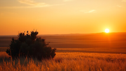 Fototapeta premium Sunset Landscape with Golden Plains and Single Bush