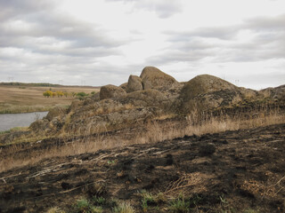 Burnt grass after a fire in a protected natural area near a lake. Be careful with fire