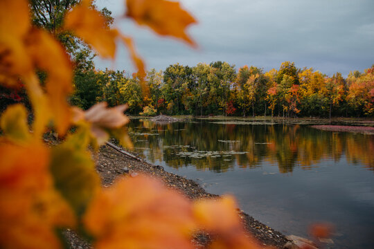 Autumn foliage by a serene lake in Quebec, Canada