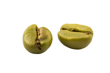 a green coffee bean and a green coffee bean