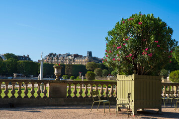 Architecture of buildings in the city of Paris in France, seen from the Luxembourg Gardens
