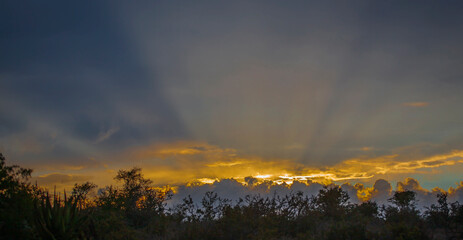 Beautiful rays of the evening sun and cloudy landscape before an evening thunderstorm in South...