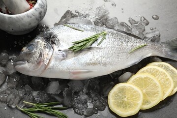 Fresh raw dorado fish, ice, lemon slices and rosemary on grey table, closeup. Organic seafood