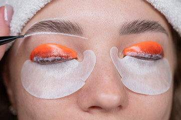 The process of professional lamination and dyeing of eyelashes and eyebrows in the salon. 