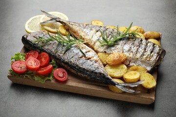 Tasty roasted mackerels with spices and vegetables on grey table, closeup. Homemade seafood dish