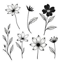 set of floral elements,hand drawn flowers set vectors
