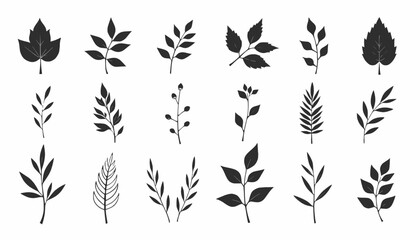 Black Botanical Leaf Silhouette Vector Set | Minimal Nature Elements