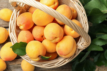Fresh apricots in wicker basket and green leaves on wooden table, flat lay