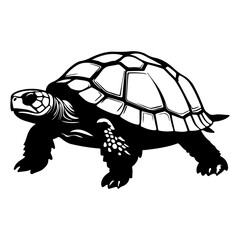 Sea Turtle Marine Animal Silhouette Vector