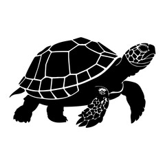 Sea Turtle Marine Animal Silhouette Vector