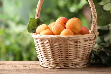 Fresh ripe apricots in wicker basket and green leaves on wooden table outdoors, space for text