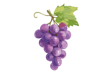 Fototapeta premium Watercolor Grapes Bunch Illustration, Hand-Painted Purple Fruit Cluster with Leaf, Realistic Botanical Art, Fresh Vineyard Harvest, Transparent Background, Healthy Food Concept, Vector Design