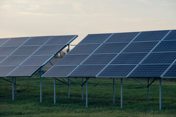 Arrays of Renewable Energy Solar Panels in a Grassy Field at Dusk