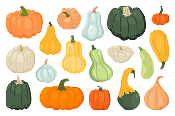 Collection of Hand Drawn Pumpkin Vegetables.