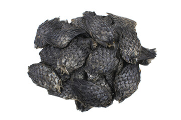 Obraz premium a pile of dead birds on a white surface