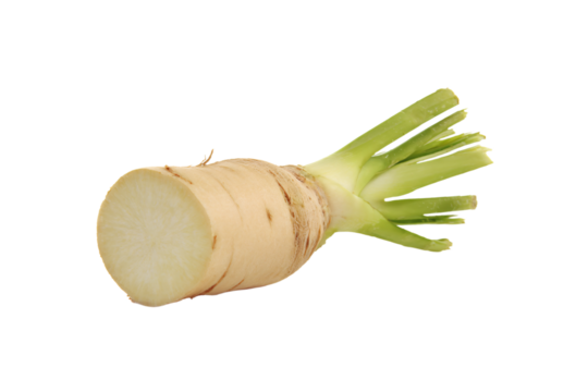 a close up of a piece of food with a white background