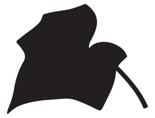 IVY LEAF SILHOUETTE