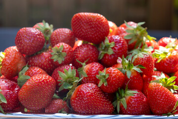 erdbeeren
